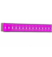 Lampara T8 Tubo De Led 20 Watts Color Rosa 2031