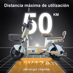 Moto Electrica Bicicleta Para Adulto 500w 30km/h DEYLINGS