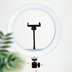 Aro de luz doble color FRIA O CALIDA 12" DP-1032