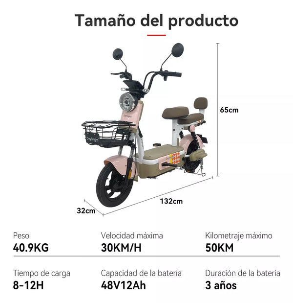 MOTO ELECTRICA CX-D10