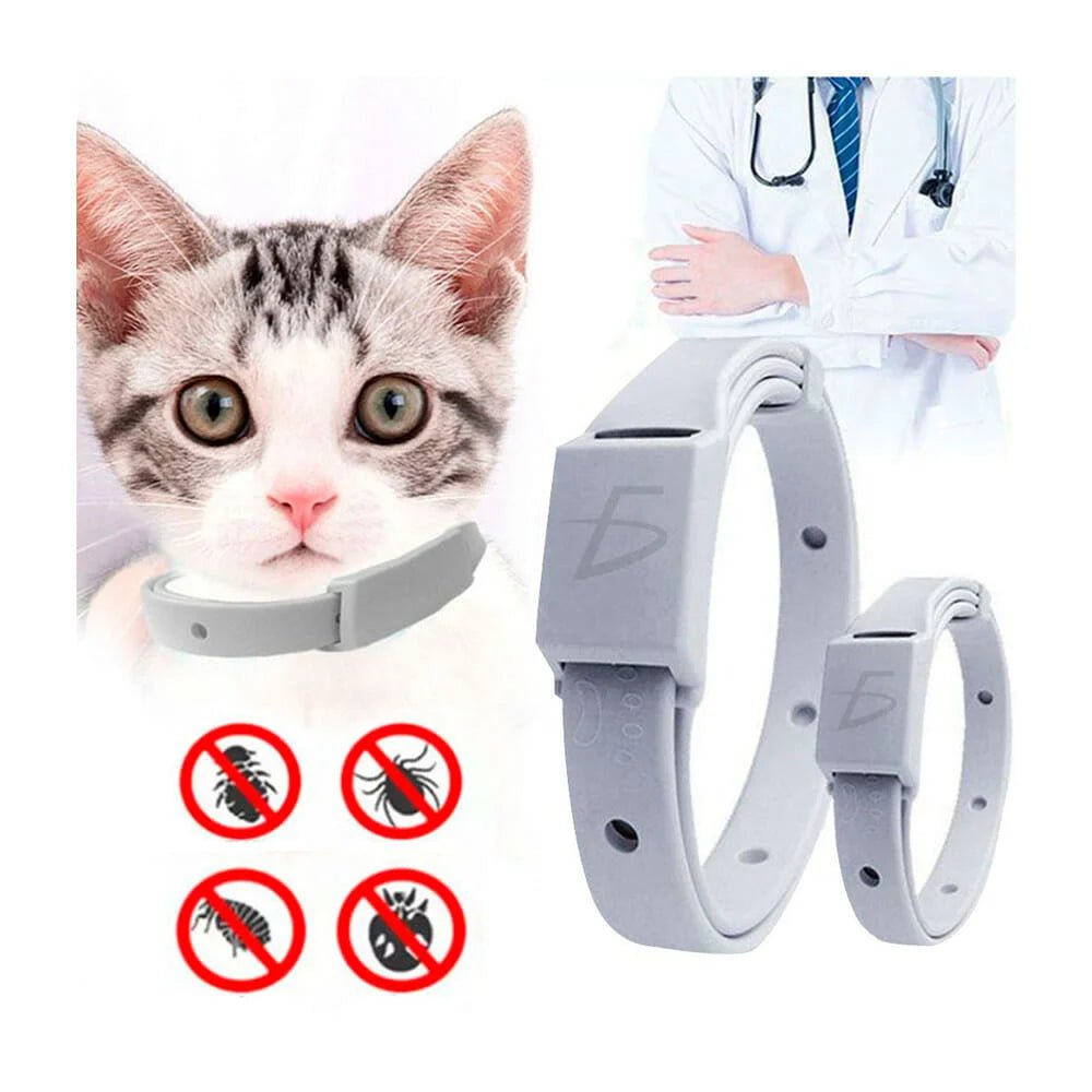 1pza Collar ajustable repelente ele - gate anti pulgas, garrapatas y mosquitos para gatos - mas.24.gatos - Mishop Mexico