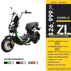 Moto electrica HW-ZL