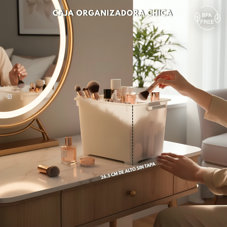 CAJA ORGANIZADORA CHICA ZWX001