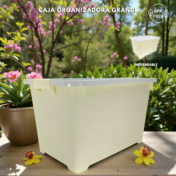 CAJA ORGANIZADORA GRANDE ZWX003
