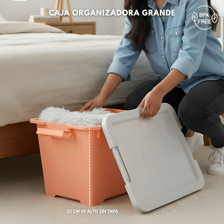 CAJA ORGANIZADORA GRANDE ZWX003