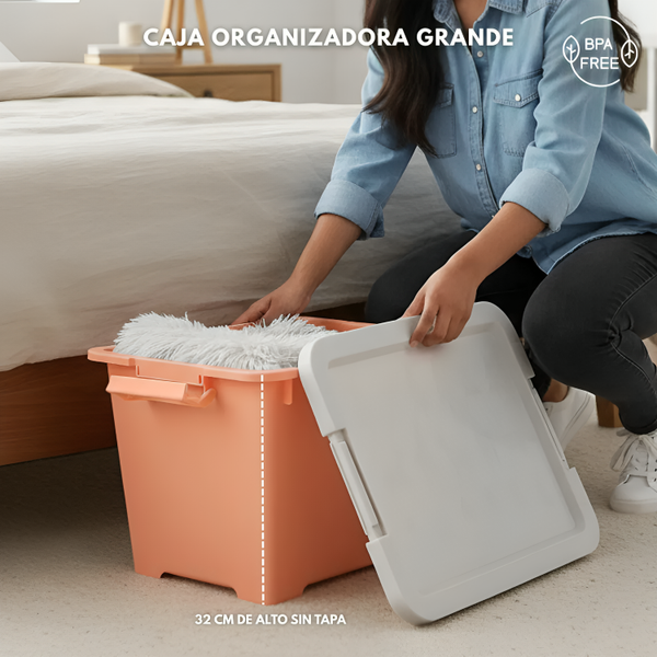 CAJA ORGANIZADORA GRANDE ZWX003
