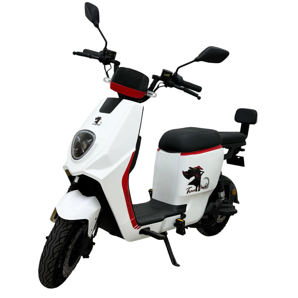 BICI ELECTRICA CX-S06