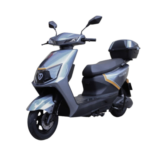 Moto electrica TAILG-RAY