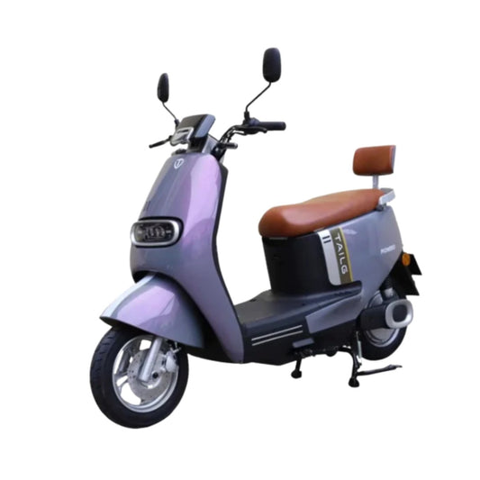 Moto electrica TAILG-PIONERO