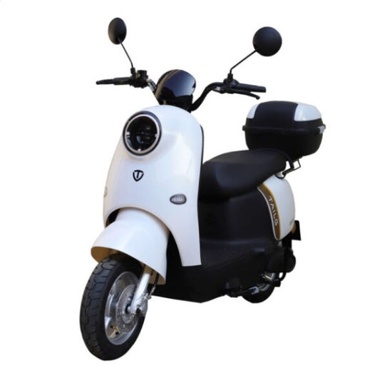 Moto electrica TAILG-SUERTE PLUS