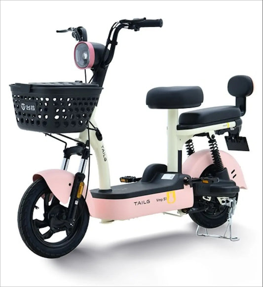 Moto electrica TAILG-VMP S1