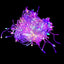 Cascada Multicolor 500 Focos MZ ML144C