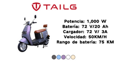 Moto electrica TAILG-PIONERO