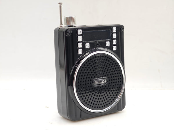 Bocina Radio portatil WKS-204