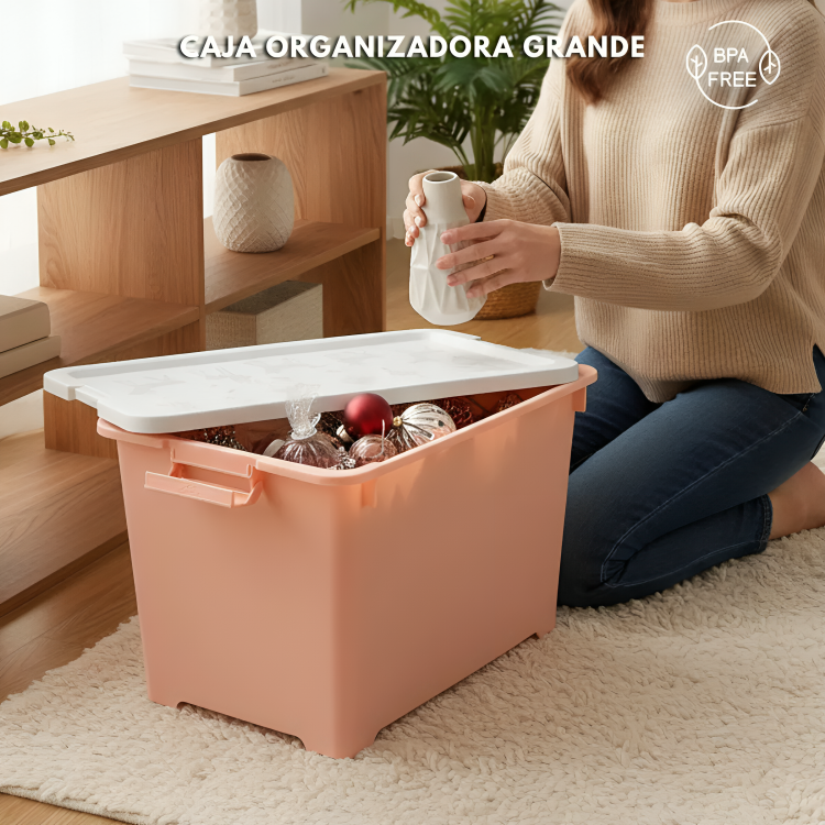 CAJA ORGANIZADORA GRANDE ZWX003