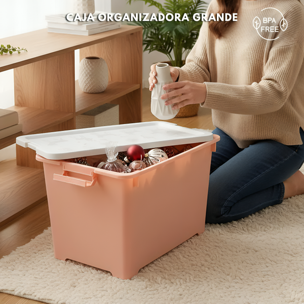 CAJA ORGANIZADORA GRANDE ZWX003