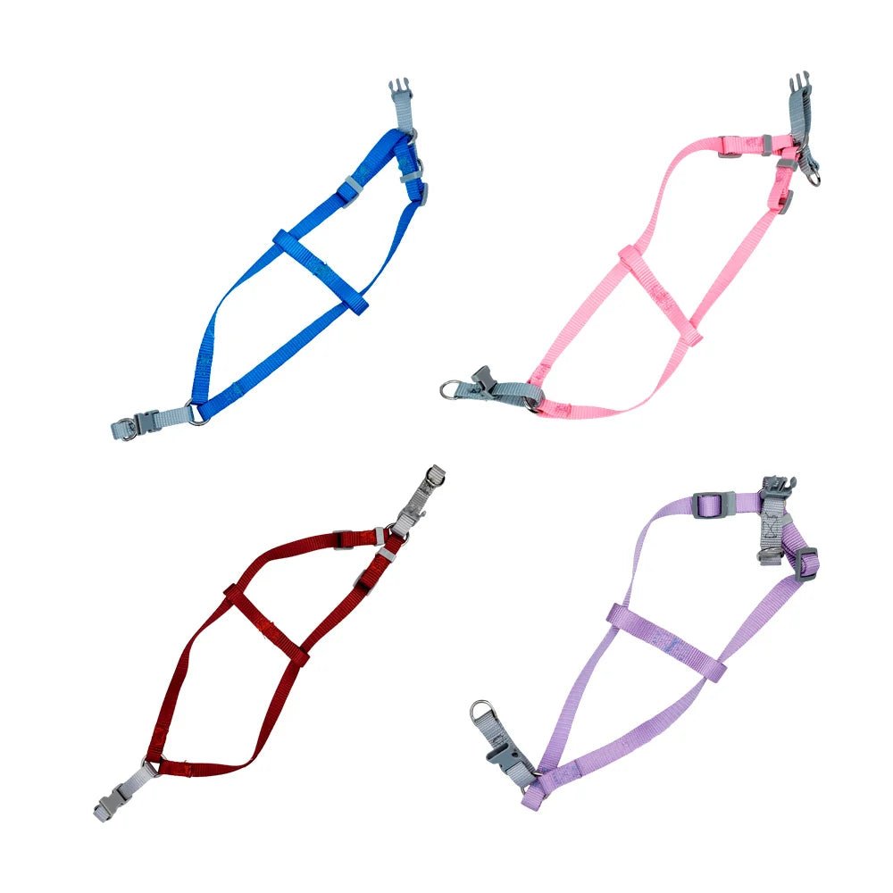 Arnés ajustable liso de 1cm para mascotas pequeñas, variedad de colores - JR2383 - Mishop Mexico Imagen principal del producto