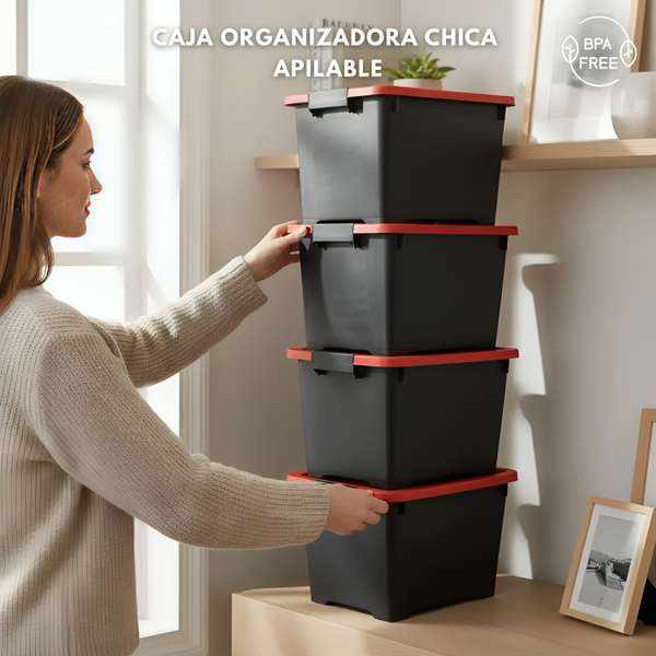 CAJA ORGANIZADORA CHICA ZWX001