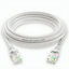 Cable Red 1.5 Mts Ethernet Internet WI.124 - Mishop Mexico