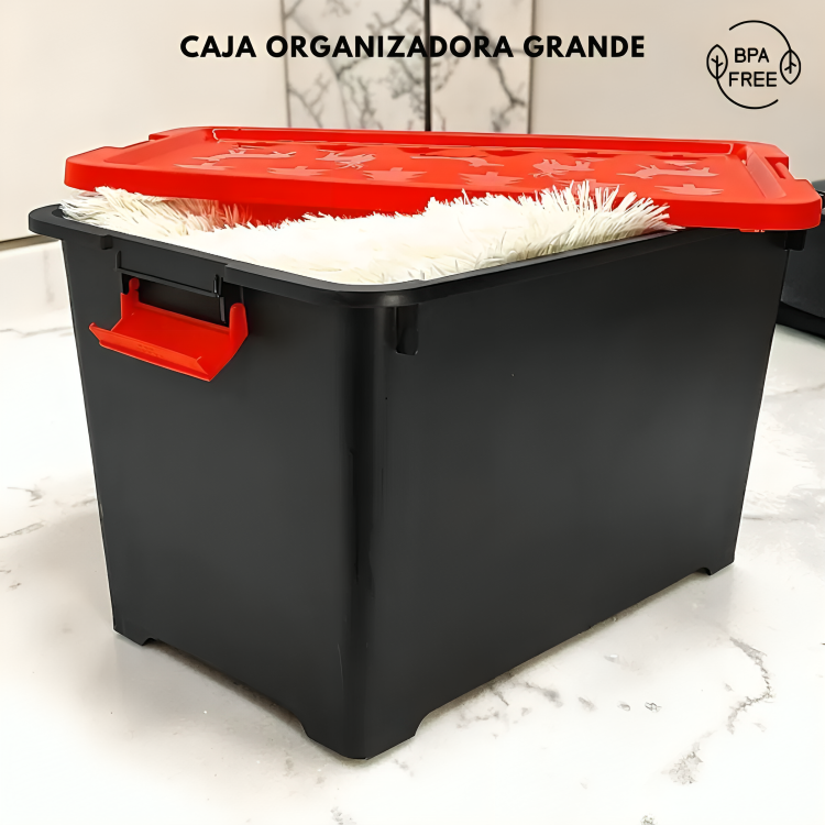 CAJA ORGANIZADORA GRANDE ZWX003 Imagen principal del producto