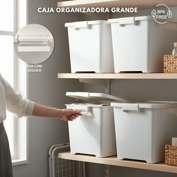 CAJA ORGANIZADORA GRANDE ZWX003