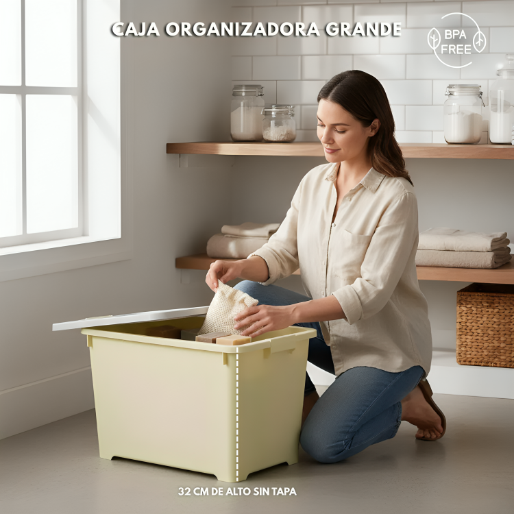 CAJA ORGANIZADORA GRANDE ZWX003