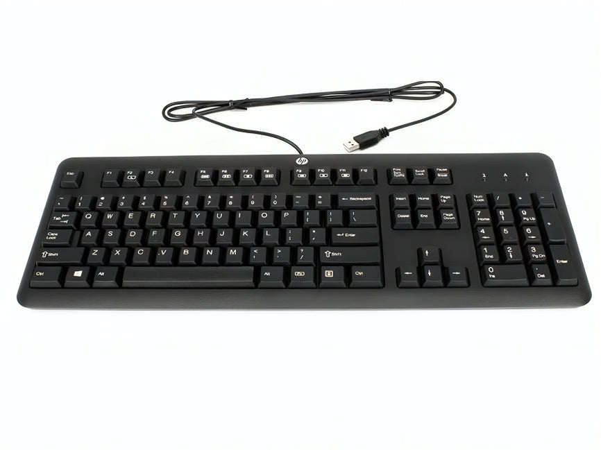 Teclado HP ENTRADA USB original Imagen secundaria del producto